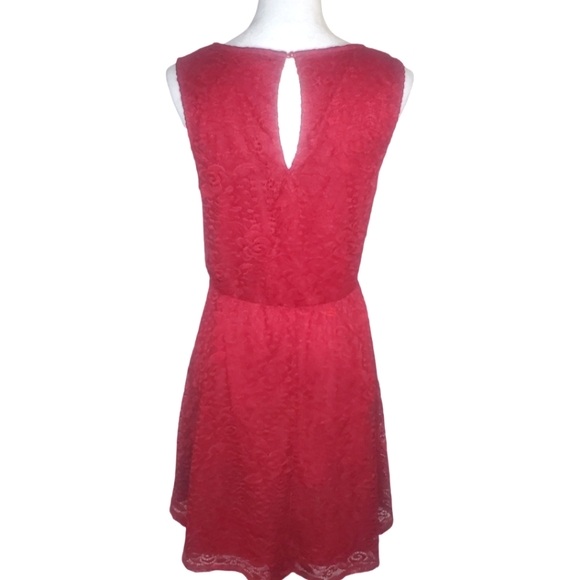 City Triangles Plus Size Lace Roses Overlay Fully Lined Dress - Picture 4 of 8